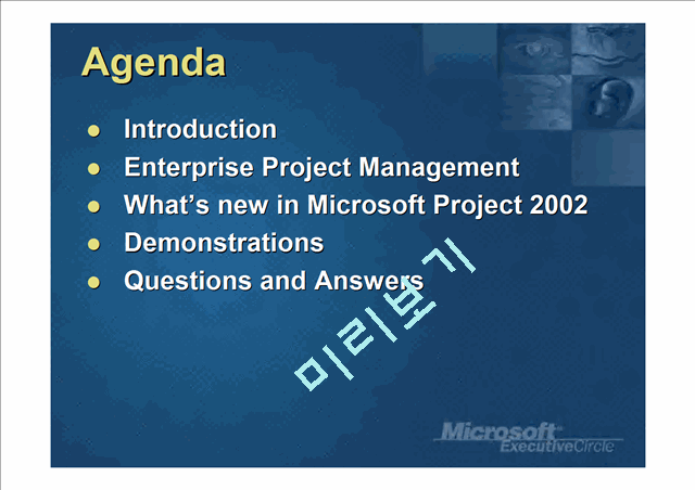 MICROSOFT EnterpriseProject   (3 )